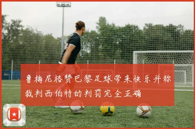 鲁梅尼格赞巴黎足球带来快乐并称裁判西伯特的判罚完全正确